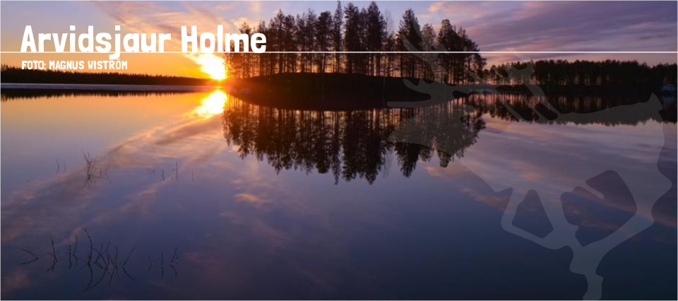 Sliderbilder_960x426px_SPRING_2016